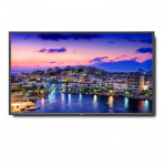 Monitores Gran Formato